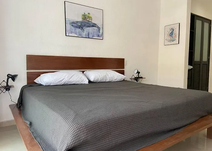 Apartment Charming 2br Downtown. Caribbean Allure